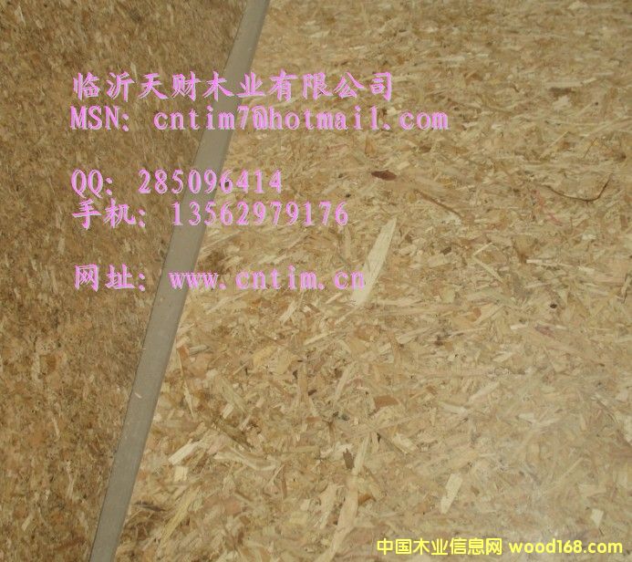 �����ٻ��� (li��n)ϵ�R����ؔľ�I(y��)13562979176��Ԕ����B