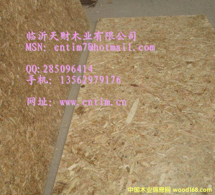 �����ٻ���OSB �R����ؔľ�I(y��)13562979176��Ԕ����B