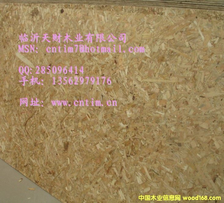 OSB�� �a(ch��n)Ʒ���ȸ� �|(zh��)����(w��n)��13562979176��Ԕ����B