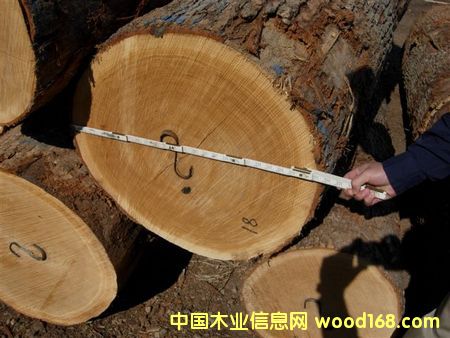 ����(gu��)�t���ĵ�Ԕ��(x��)��B