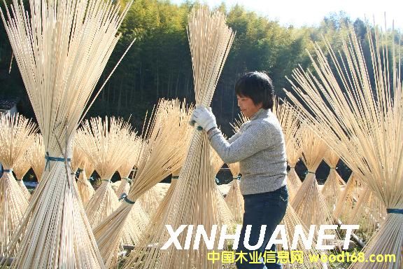 �����2��Ԕ��(x��)��B