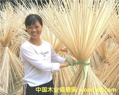 ���z�S��Ԕ��(x��)��B