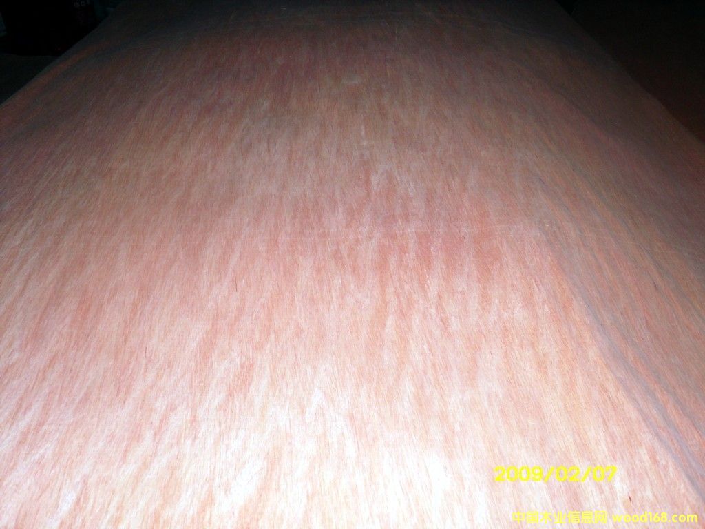 ���ǹ��ΰ��Ԕ����B