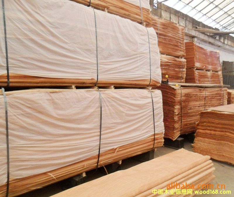 �һ�о�ΰ��Ԕ����B