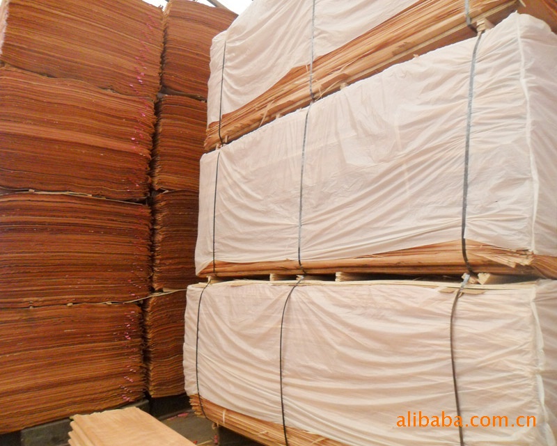 �t��ΰ��Ԕ����B