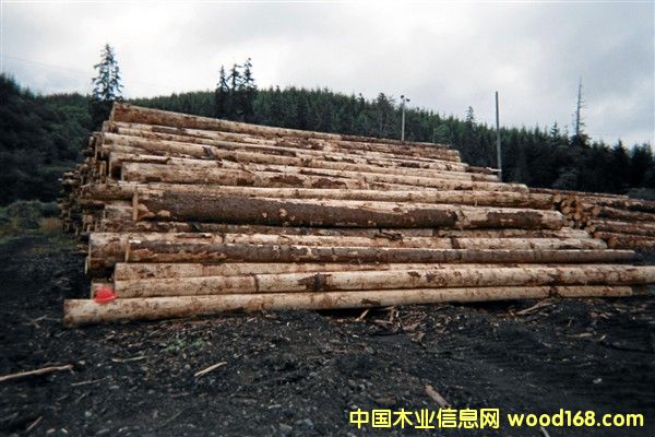 ������ɼ��Ԕ����B