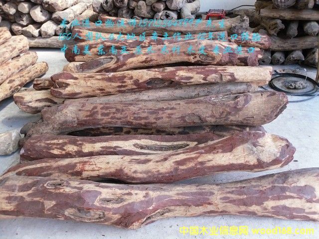 ̫�}(c��ng)���M(j��n)���R�_(d��)��˹���S̴/�Fľ��/��̴�M(j��n)�ڈ�(b��o)�P(gu��n)