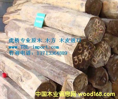 ��ߘ��M(j��n)��ӡ���ľ/�L(f��ng)܇ľ/���}��ԭľ�M(j��n)�ڈ�(b��o)�P(gu��n)