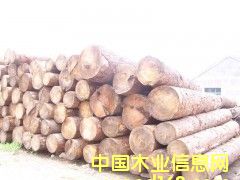 ���a(ch��n)ԭľ