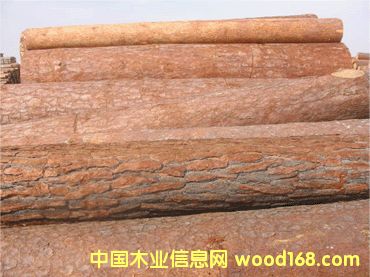 �P(y��ng)ľ��Ԕ��(x��)��B