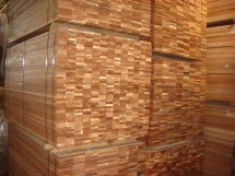 ����(y��ng)��(y��u)�|(zh��)�𲻓Q�ذ��Ԕ����B