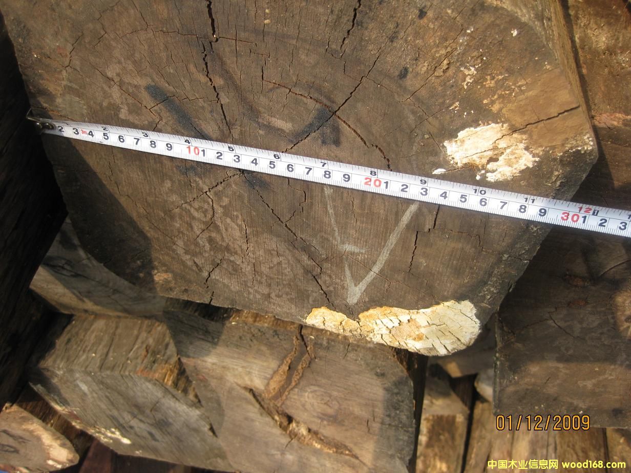 ����t��֦