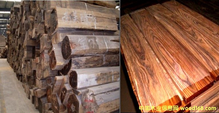 ܊���� �Fľ����Ԕ��(x��)��B