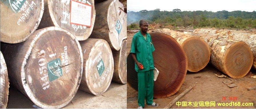 �G��ɣɳ������Ԕ��(x��)��B