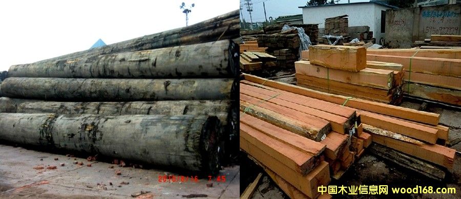 �t���� ���_����Ԕ��(x��)��B