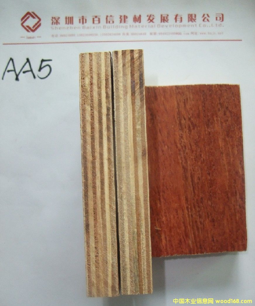 AA5 ����ģ��