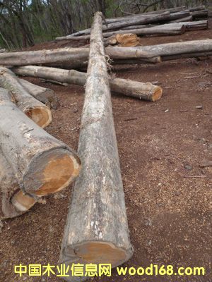 ��ľԭľ��Ԕ��(x��)��B