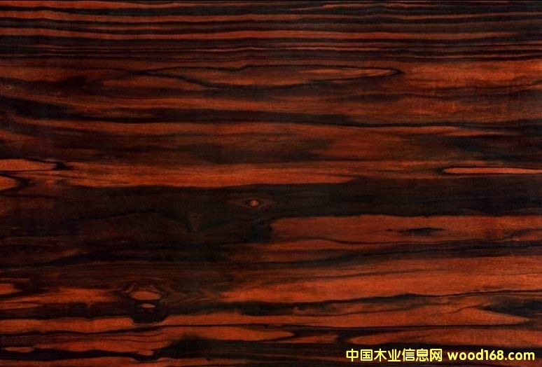 �{ɫ�l(w��i)���������(y��ng)��(y��u)�|(zh��)��̴�ذ�