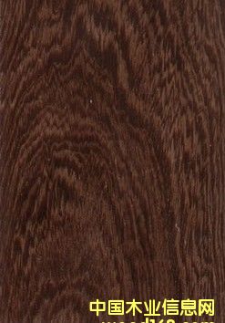 �{(l��n)ɫ�l(w��i)���������(y��ng)��(y��u)�|(zh��)�u��ľ�ذ����gӭ���ӆُ