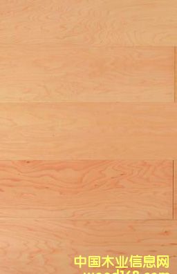 �؃r��������(y��ng)��(y��u)�|(zh��)�ӗ����ӌ�ľ��(f��)�ϵذ壬�m�ϳ���