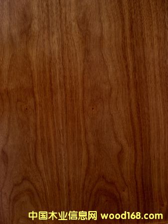 �S�r(ji��)ֱ�N~~�ں��Ҍ�(sh��)ľ�ذ�