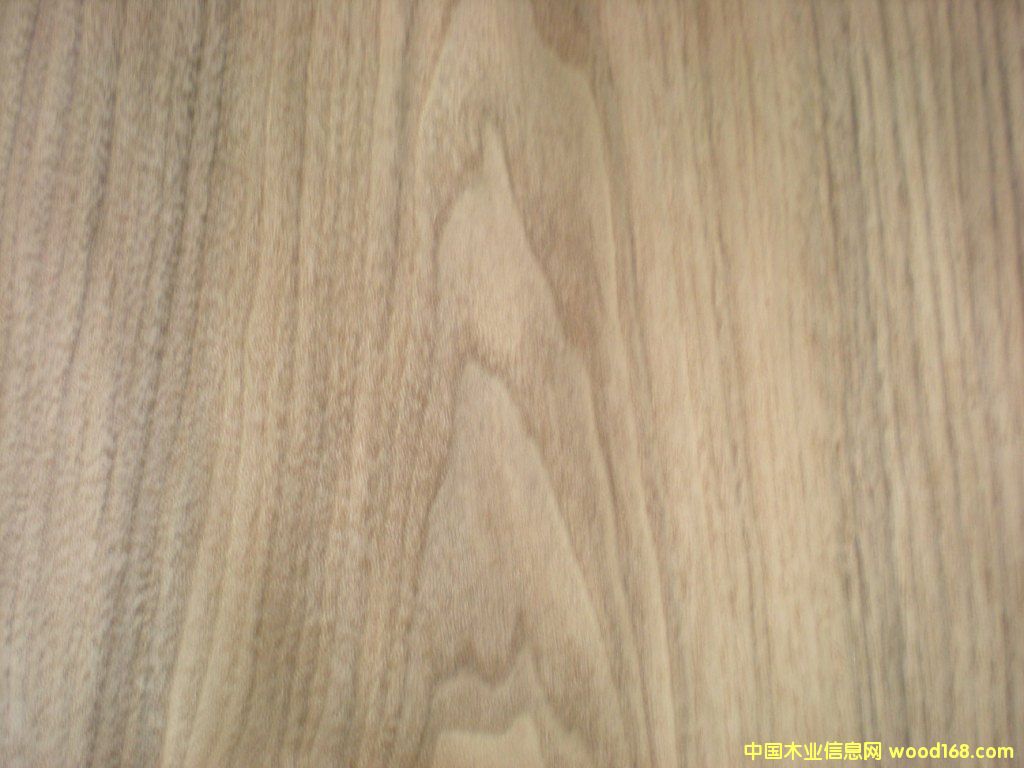 �ں���ľƤ��Ԕ��(x��)��B