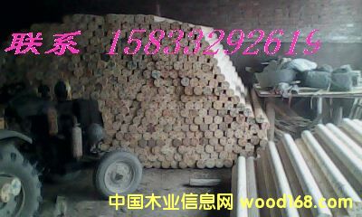 ������ľ��