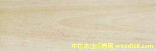 �S��DƬ��Ԕ��(x��)��B