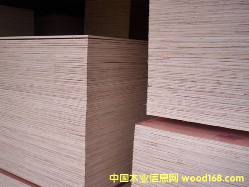 �c���鿴ɳ�l(f��)��Ŵ�DƬ