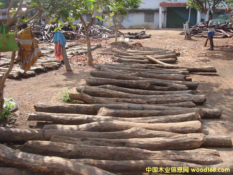 ӡ��С�~��̴��Ԕ����B