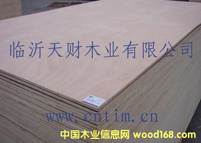 CARB�J(r��n)�C�W�������