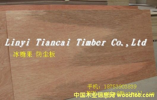 ���ǹ� ���m��