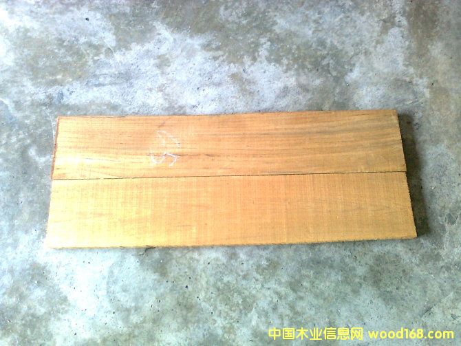 ������ľ�ذ����ϵ�Ԕ��(x��)��B