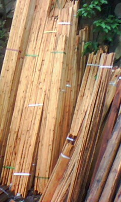 ľ����Ԕ��(x��)��B