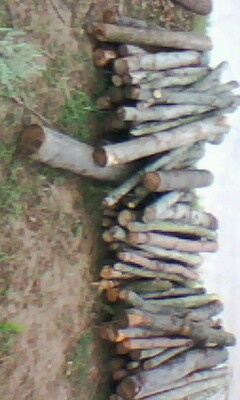 ԭ�sľ��Ԕ��(x��)��B