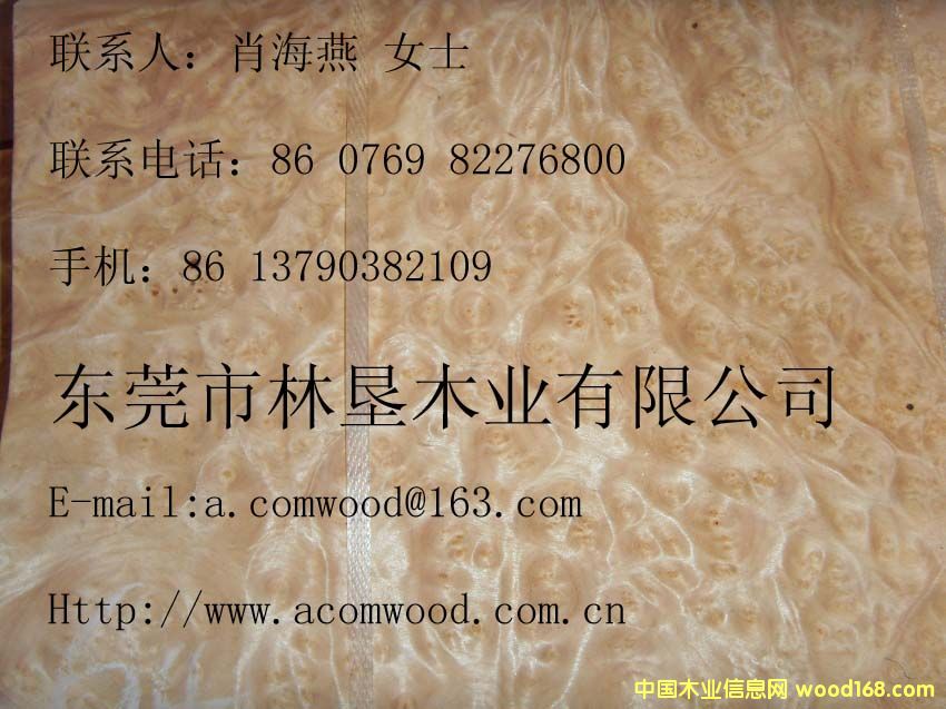 ɽ��������Ԕ��(x��)��B