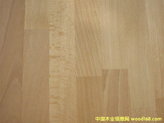 ��ľB����Beech character��Ԕ����B