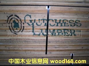 ����ľ WHITE OAK ��Ԕ����B