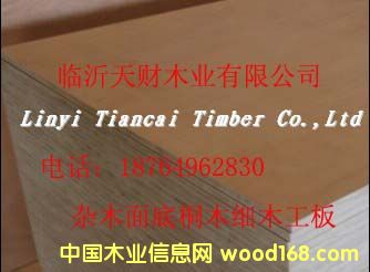 ��(x��)ľ�����Ԕ��(x��)��B