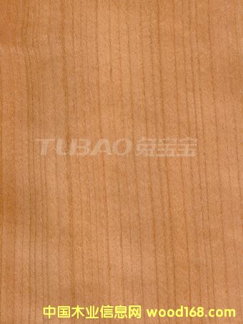 ����ֱ�yCHERRY��Ԕ��(x��)��B