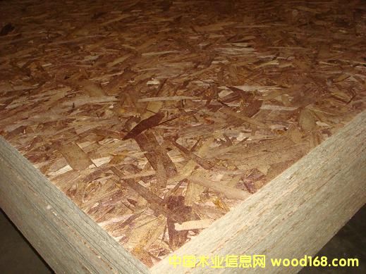 �c(di��n)���鿴OSB�Ŵ�DƬ