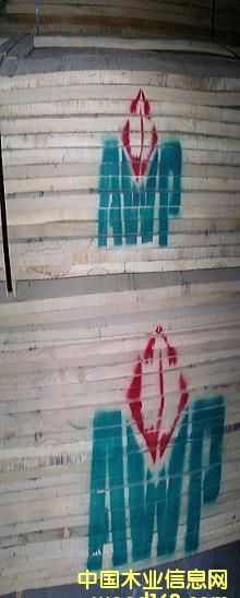 ����ľ��Ԕ��(x��)��B