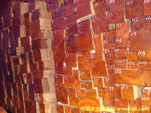 �����M�ڸ߼���ľ��Ԕ����B