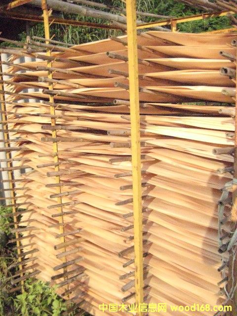 ��ľ����Ԕ����B