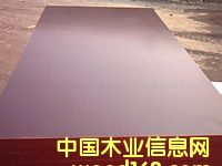 ��Ĥ����ģ���Ԕ����B