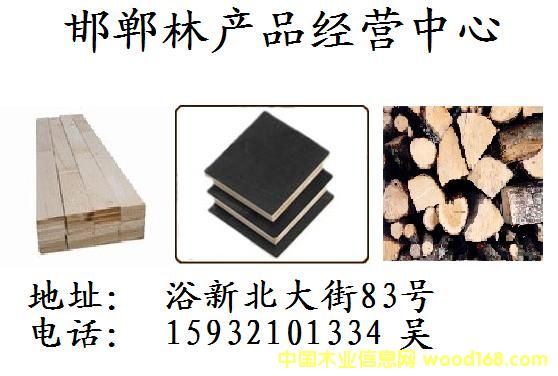 ����ľ�ĵ�Ԕ��(x��)��B