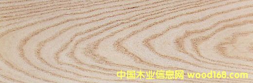 ����ˮ���� White Ash��Ԕ��(x��)��B