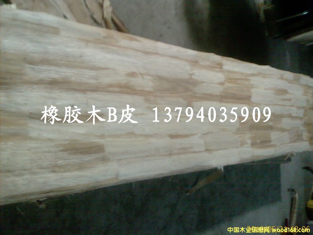 ���zľָ��Ƥ��Ԕ����B