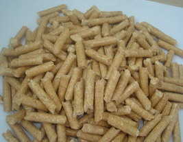 �c(di��n)���鿴ľ���w���Ŵ�DƬ