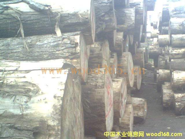 �c(di��n)���鿴aaaa�Ŵ�DƬ